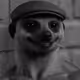 0xedb0f2bdf9f5b2d755a1d8a97154b643a15b3c8e