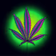 eckostoner