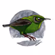 Home_NFT_Gallery
