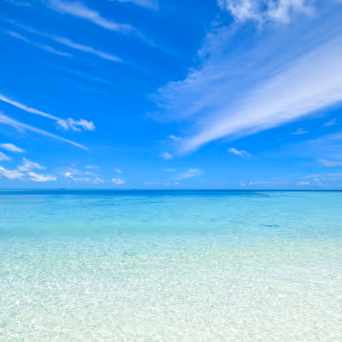OpenSea banner for @VIPClub