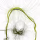 0xedef1f09e42ae7a9d3837d1106a9d5e8b7b496e3