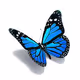 0xee01647ca7694654d46bf3bed4782ecf77a03f06