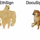dimacash.eth