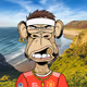 TheKingKongApe