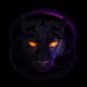 CRYPTOPANTH3R