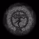 ShadowNet