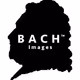 bachimages-generativeart