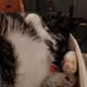 jimmiijimjim