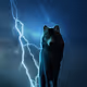 cryptostorm47