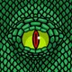 TheEye6