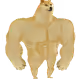 zzrilakkuma