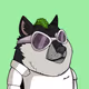 RainbowzDoge