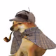 Pipedog