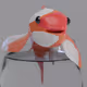 kennykoi