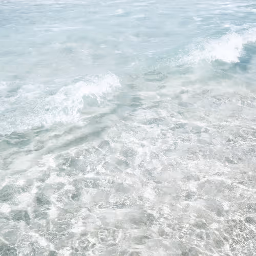 OpenSea banner for @Unwise