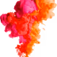 0xef0bda6a0b454538c2080b9764a6b3d48dfd4c51