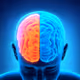 openmindman
