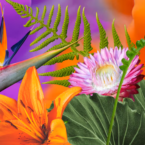 OpenSea profile picture for @Botany
