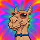 CamelWinner