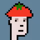 tomatolover