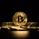 GN8BTC