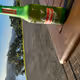 SASinn-nzRacing