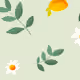 Leo_LiLac