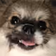 TobyMKX