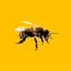 BeemanNFT