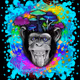 Stoned-Apes