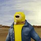 NO_CAP