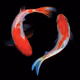 koi-art
