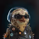 wiznesspro
