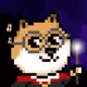 HarryPotterShiba