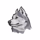 0xefddfd260bd9fbee52ad51e835bb458e034d50ba