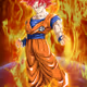 Mr_Goku_33