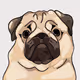 KryptoPaws