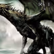 DarknessDragon_