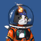 MegaCat