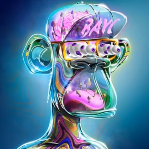 OpenSea profile picture for @noxx2