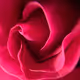 0xf01f2ef4a58874f00a125a6722958cf22a76c08f