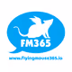 FlyingMouse365