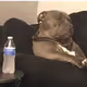 DemonKilla
