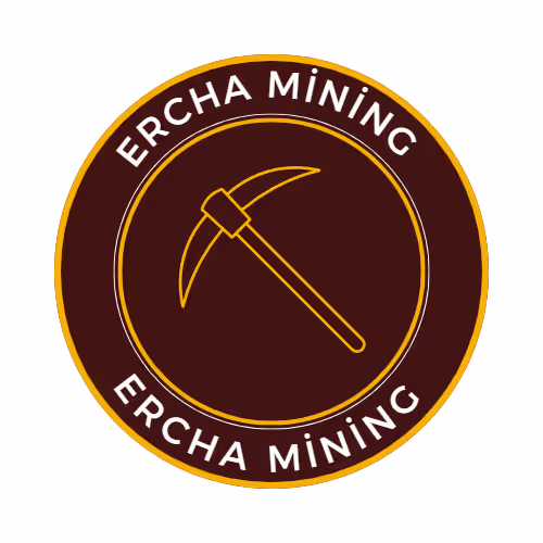 OpenSea profile picture for @Ercha