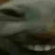 DontTread
