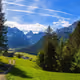Marius_NFT