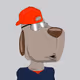KryptoDawg