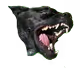 Letthedarksidein