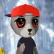 Steadynigga