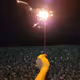 EMFLA2272